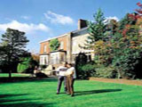 Menzies Pinewood